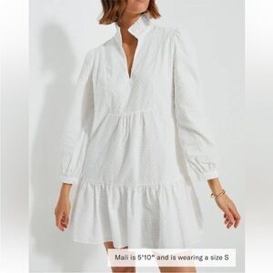 Tuckernuck Swiss Dot Palmer Dress